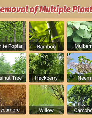 Cyclosinone Herbicide Granules | BUY 1 GET 1 FREE