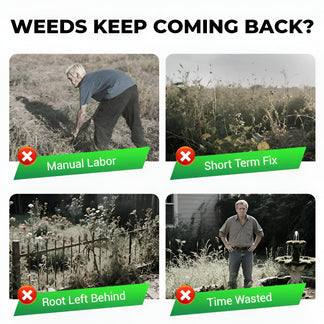 Cyclosinone Herbicide Granules | BUY 1 GET 1 FREE